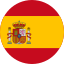 Current language icon