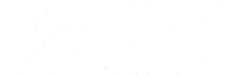 VDM Logo